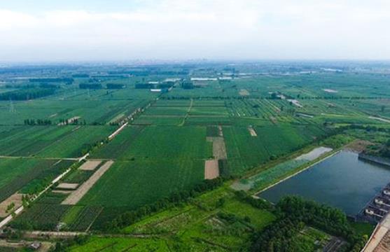 农村生活污水黄片APP91免费版承包公司哪里有？